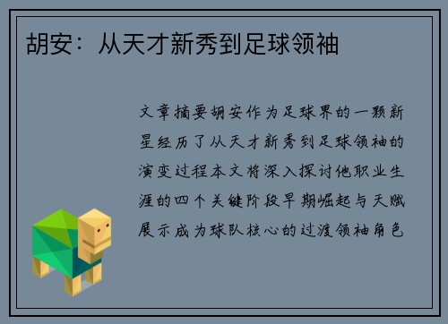 胡安：从天才新秀到足球领袖